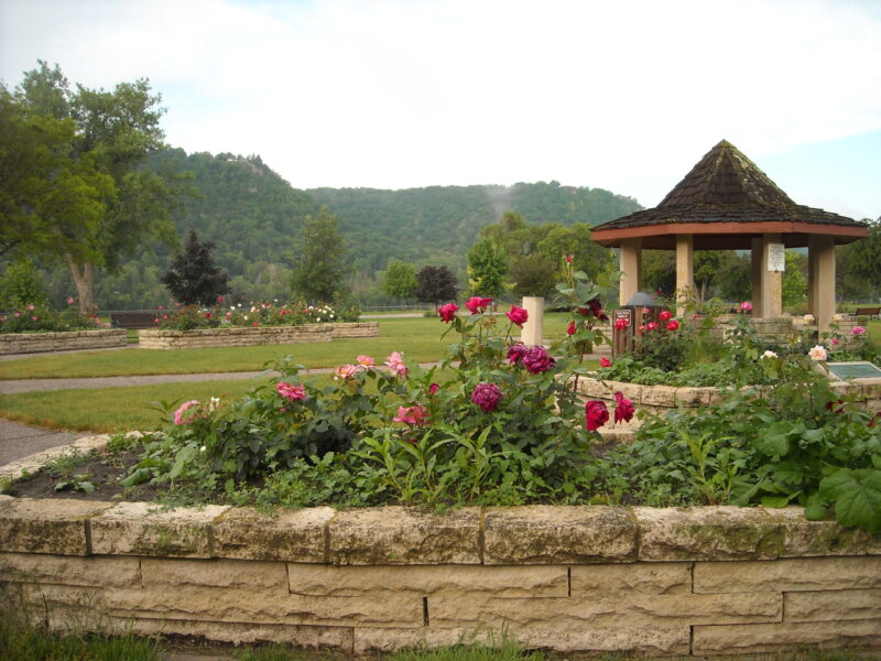 ローズガーデン C. A. Rohrer Rose Garden | Visit Winona