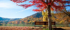 Fall colors cover the bluffs of Winona and a bench by the lake offers the perfect spot to take it in.