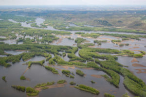 aerial photo islands sandbars Mississippi River