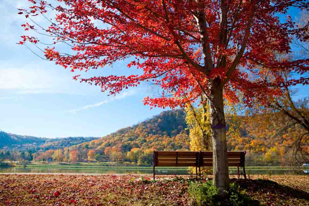 a park bench looks out over Lake Winona and a serene fall scene