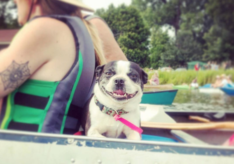 Smiling Dog in Canoe Winona Minnesota