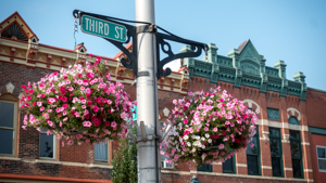 two flower baskets in full bloom with petunias hang from the sign post for Third Street in Winona downtown