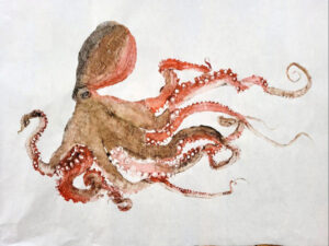 Octopus print-MN Marine Art Museum