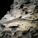 Niagara-Cave-Houston-Minnesota-Attraction-Geology-Tour-Group
