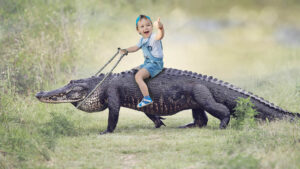 a humerous photo of a young boy riding on the back of a large alligator giving a thumbs-up.