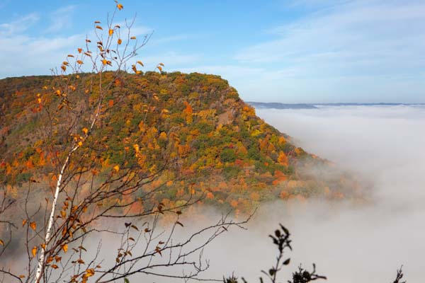 🍁 5 Best Spots to Soak in the Fall Colors in Winona, MN 🍂 - Visit Winona