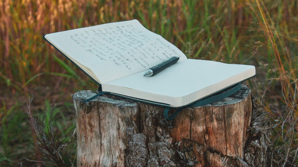 2025 maria w. faust sonnet contest call for entries