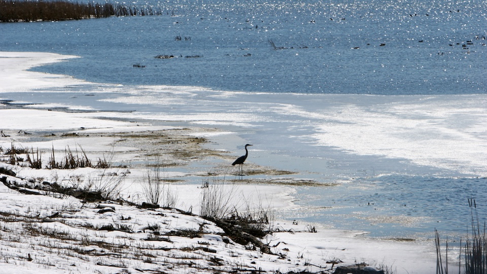 Visitwinona Website Home V2