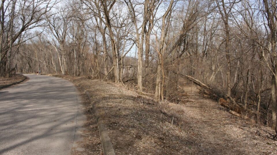 aghaming park flyway trail prothonotary trail birding jk