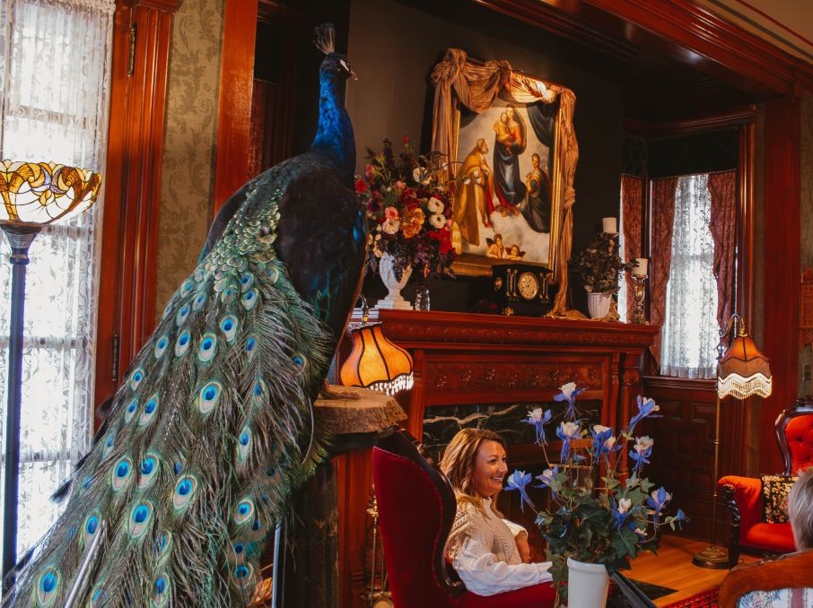 alexander peacock la