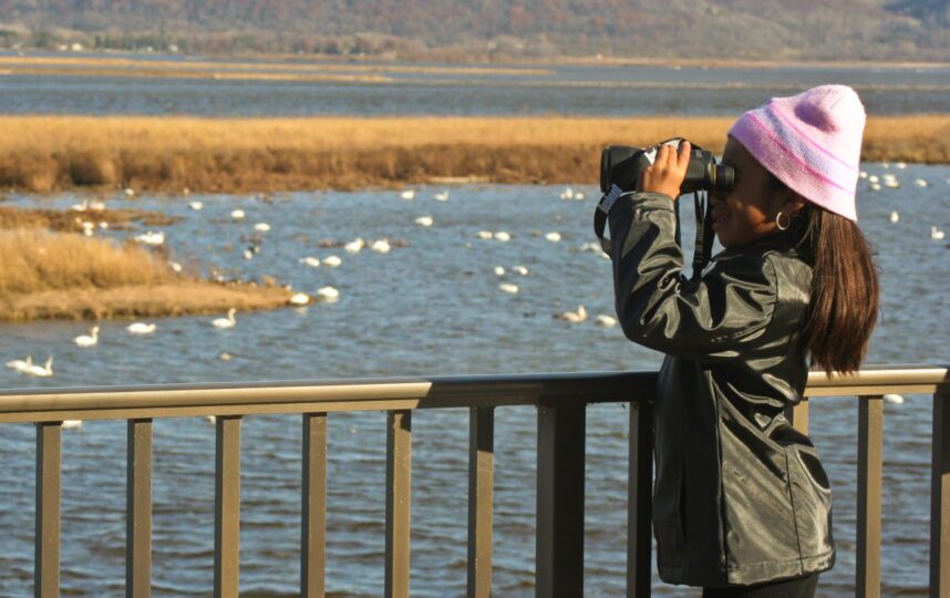 bird watching fall