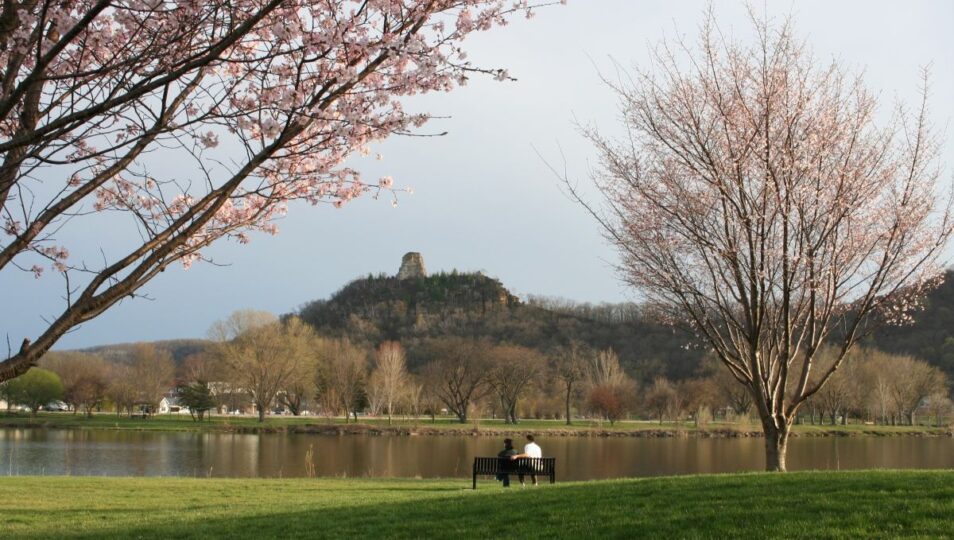 cherry blossoms bench sugar loaf lake jane koll