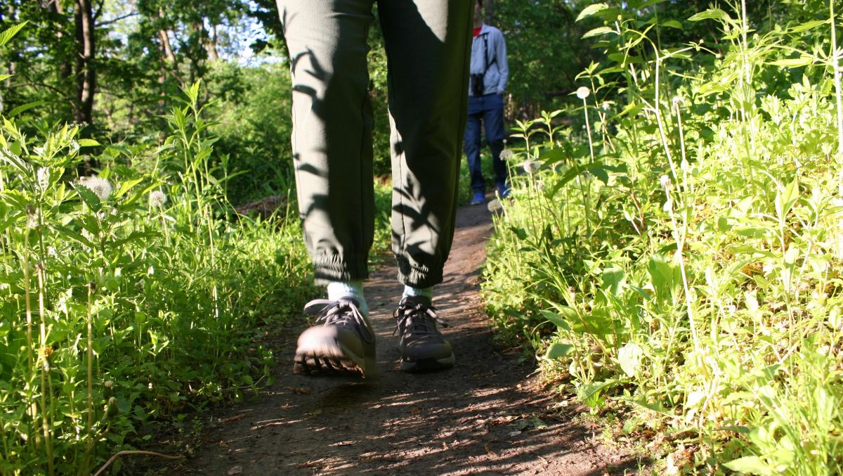 chickadee circuit trail hiking jk