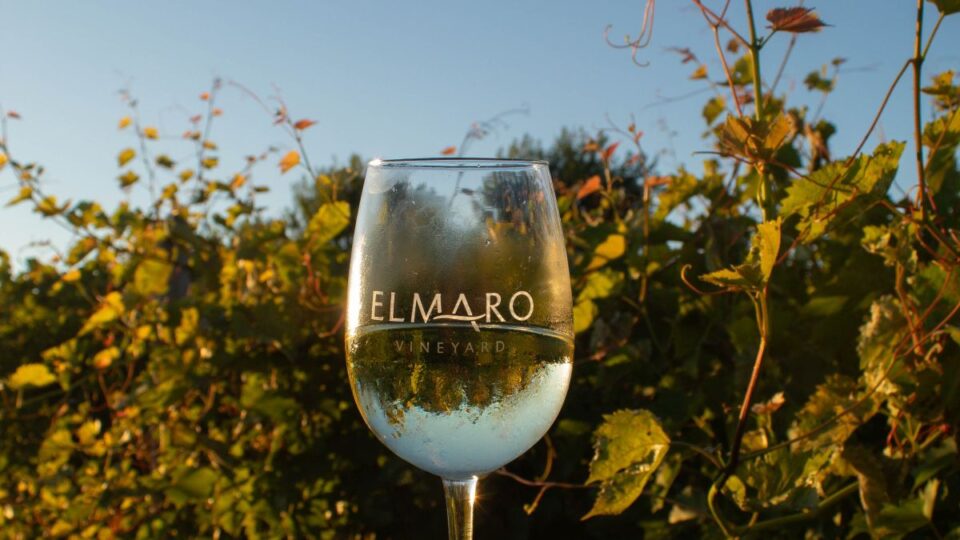 elmaro vineyard la
