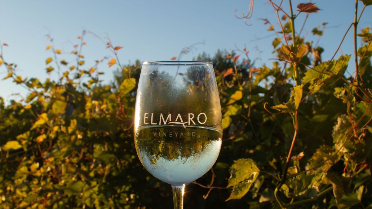 elmaro vineyard la