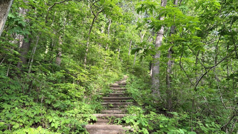 garvin heights hiking trail jk (5)