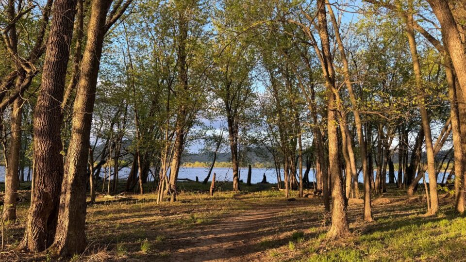 mcnally landing river trail birding spring jk