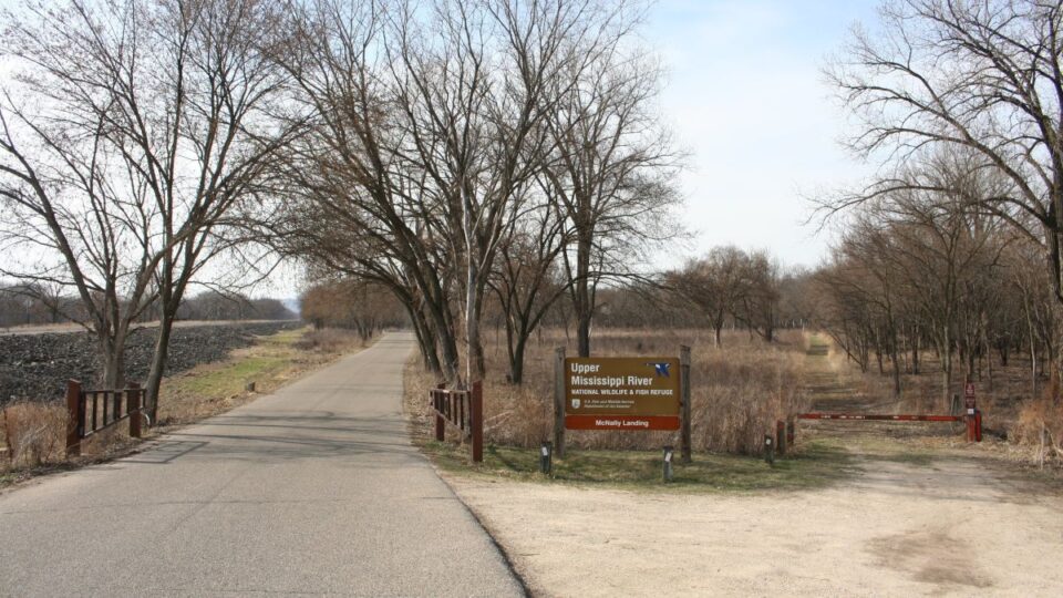 mcnally landing trail birding jk