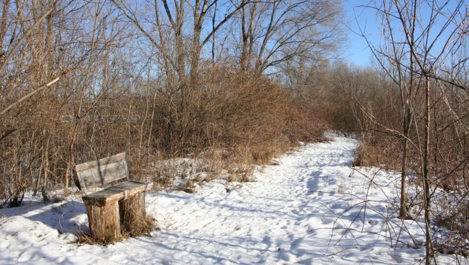 prairie island trail bench jk