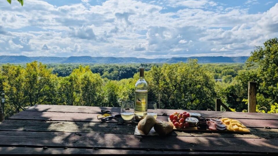 seven hawks vineyards 2025