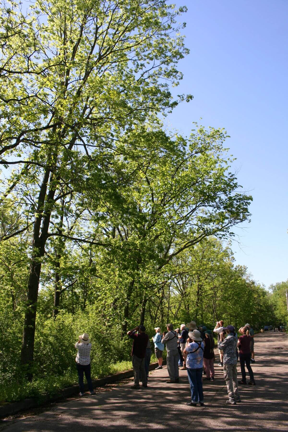 winona bird club walk birding flyway trail jk